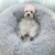Import Ready to Ship Many Sizes Stock Winter Warm Luxury Plush Cat House Dog Pet Products Pet Bed from China