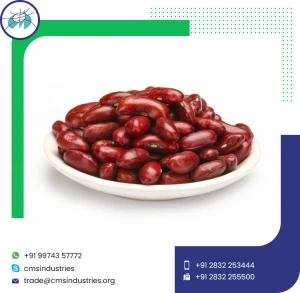 Red Kidney Beans Small &amp; Long Size High In Protein Top Grade Quality Rajma Seed Manufacturer &amp; Global Supplier
