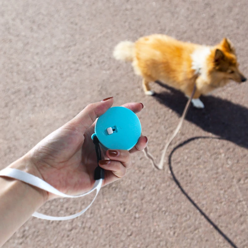 Retractable Pet Leash Durable Rope Extending Pet Walking Leads 2 M Mini Size