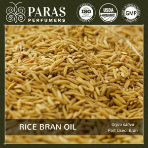 Rice Bran Carrier Oil - Pure and Natural - Wholesale Bulk Price