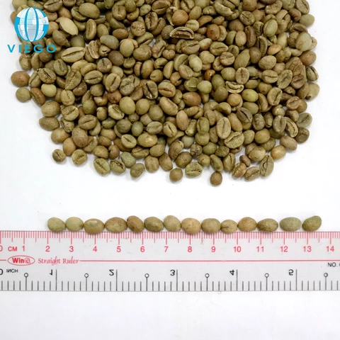 Robusta Coffee Beans High Quality Factory Price Green Coffee Whole Bean Coffee