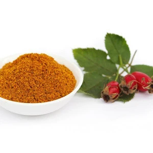 Rosehip Powder Food Supplement Wholesale or Package Vitamin C from Manufacturer Vitamins Supplements Animals