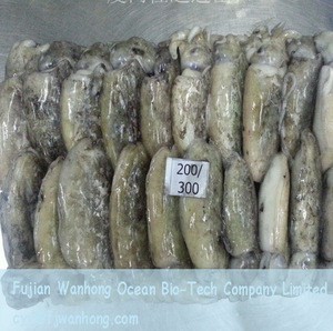seafood from China whole round 100g-200g cleaned frozen cuttlefish with best price