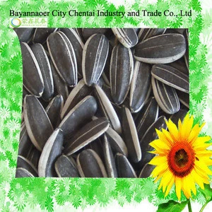 Sell plant 2020 striped black bulk organic hybrid hulled sunflower seeds