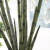 Import Shininglife wholesale plastic plant artificial 13 branches sansevieria in large bonsai from China