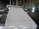 silicon steel coil