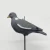 Import Simulation Style Animal Pigeon Bird shell Repeller Farm Bird Repellent hunting pigeon decoy from China