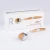 Import Skin care wholesale micro needle zgts derma roller 192 hone use from China