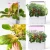 Import Smart Plant LED Growing light Indoor Tomato Potato flower planter pots plastic self watering seed planter from China