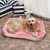 Import Soft Durable Cozy Roll-Up Dog Bed light weight Portable Travel pet bed from China
