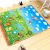 Import Soft Waterproof Non-Toxic Colorful Cartoon Double Side Large EPE Foam Moisture-proof Pad  Baby Floor Play Mat Crawling from China