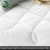 Import Solid Color Full Size Healthy Bamboo Fiber & Hollow Fiber Comforter from China