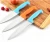 Import Stainless Steel Kitchen Knife With Color Handle from China