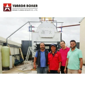 Steam boiler of solid fuel