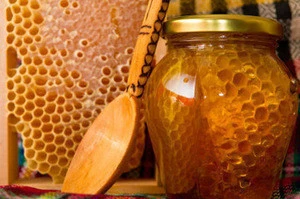 Stingless Bee HONEY high QUALITY FOR SALE
