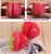 Import Strawberry shape sponge magic hair styling roller curler from China