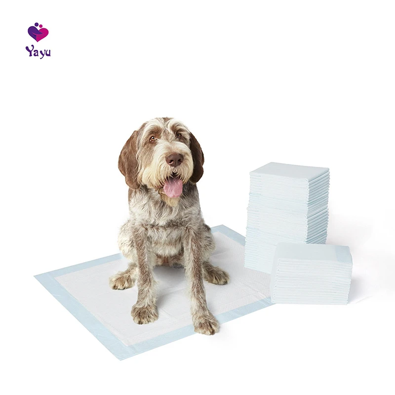 Super Absorbent Disposable Dog PEE Mat Training Pad