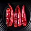 Supply air dried spices and vegetables red chilli pods and whole