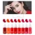Import Tattoo Ink Pigment For Permanent Makeup Easy To Wear Micro Pigment Eyebrow Eyeliner Lip Body Tattoo Art Beauty Tools 23 colors from China
