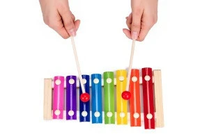Toddler Musical Instruments Ehome 15 Types 22pcs Wooden Percussion Instruments Toy for Kids Preschool Educational, Musical Toys