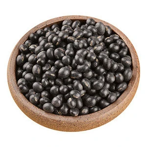 Top Quality Black Kidney Beans