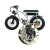 Import Unique features Chanson Electric Bike 48v 750w Lithium Battery Rear Hub Motor City E-bike from China