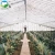 Import Ventilation rack and pinion plastic film greenhouse from China