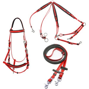 Weather Resistant PVC Equestrian Horse Riding Bridle Rein And Martingale FULL Set For Marathon Horse Racing