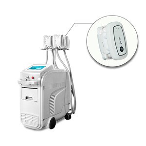 Weight Loss Cryolipolysis Fat Freeze Beauty Slimming Equipment With 4 Treatment Handle