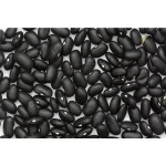 White Organic white kidney bean