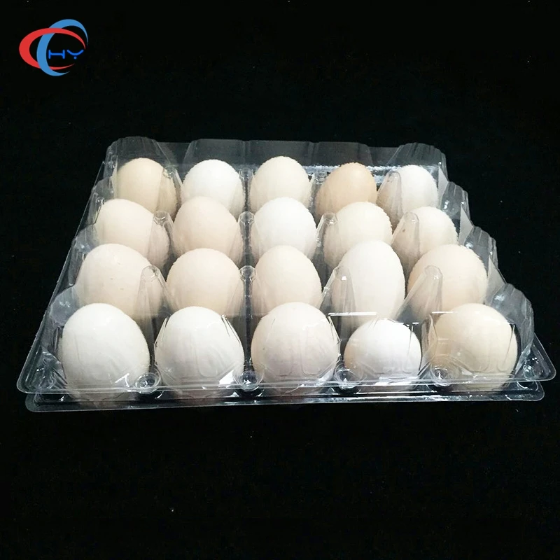 Wholesale disposable PET transparent plastic egg tray / box with 20 cells