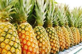 Wholesale Fresh Pineapple / Pineapple Fruit Price