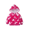 Wholesale New Arrival Toddler Outfit Newborn Baby Winter Clothes Kids Clothing Long Sleeve Top With Hoodie