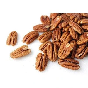 wholesale pecan nut /Pecan nut in shell, wholesale pecan nuts