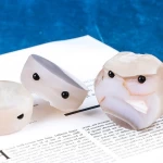 Wholesale The Cherry Blossom Fine Agate Stone hedgehog figurine Crystal crafts