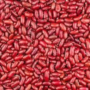 Pure, Natural and Top-Notch Quality Red Kidney Beans at Wholesale Price