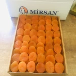 dried apricots
