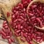 Import Pure, Natural and Top-Notch Quality Red Kidney Beans at Wholesale Price from South Africa