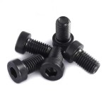 High Quality Fastener M6*20 Din7984 Stainless Plastic Bolt With Low Head Hexagon Socket Head Screws