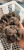 Import Black Truffle Morels from China