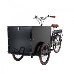 Delivery Electric Bike