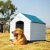 Import Outdoor rainproof and sunscreen dog shed plastic kennel pet kennel from China