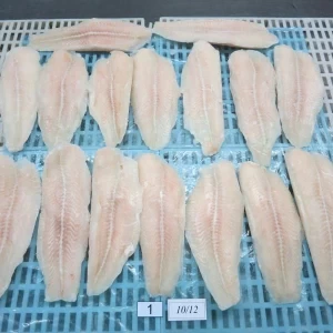 Frozen Panga Fish Fillets