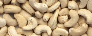 Cashew Nuts