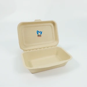 Biodegradable sugarcane pulp lunch boxes
