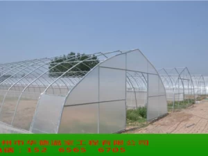 Single tunnel greenhouse