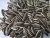 Import Black Striped Inshell Sunflower seeds long type model 601 from China