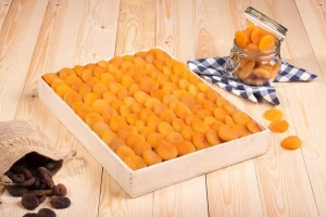 Prime Grade Dried Apricots in Best Price