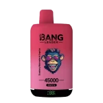 Bang Leader 45000 Puffs Wholesale Europe Bulk Price TPD Compliant | Wholesale Supply B2B