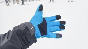 Custom Ski Gloves